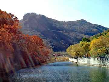 新澳天天开奖资料大全旅游团，世嘉论坛